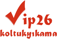 Vip 26 Koltuk Yıkama